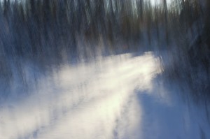 photo from Boreal Impressions series by Jonathan Martin-DeMoor